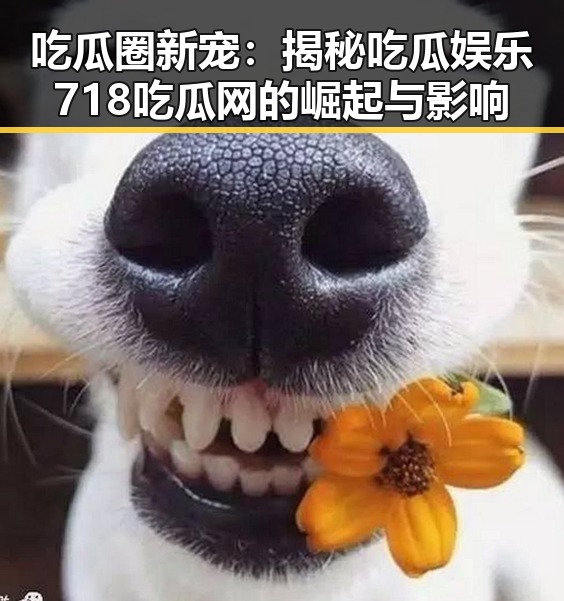 吃瓜圈新宠：揭秘吃瓜娱乐718吃瓜网的崛起与影响