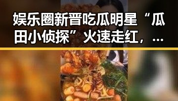 娱乐圈新晋吃瓜明星“瓜田小侦探”火速走红，揭秘其幕后真面目！